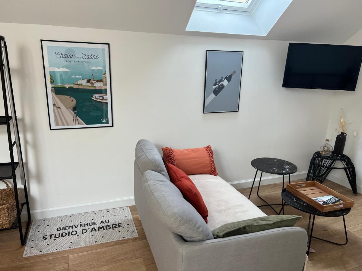 Le Studio D'Ambre Chalon-sur-Saone Ngoại thất bức ảnh